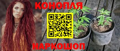 стафф Обь