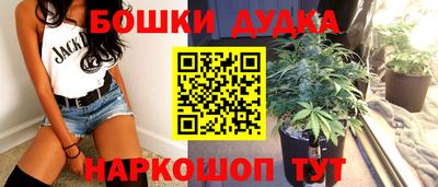 стафф Обь