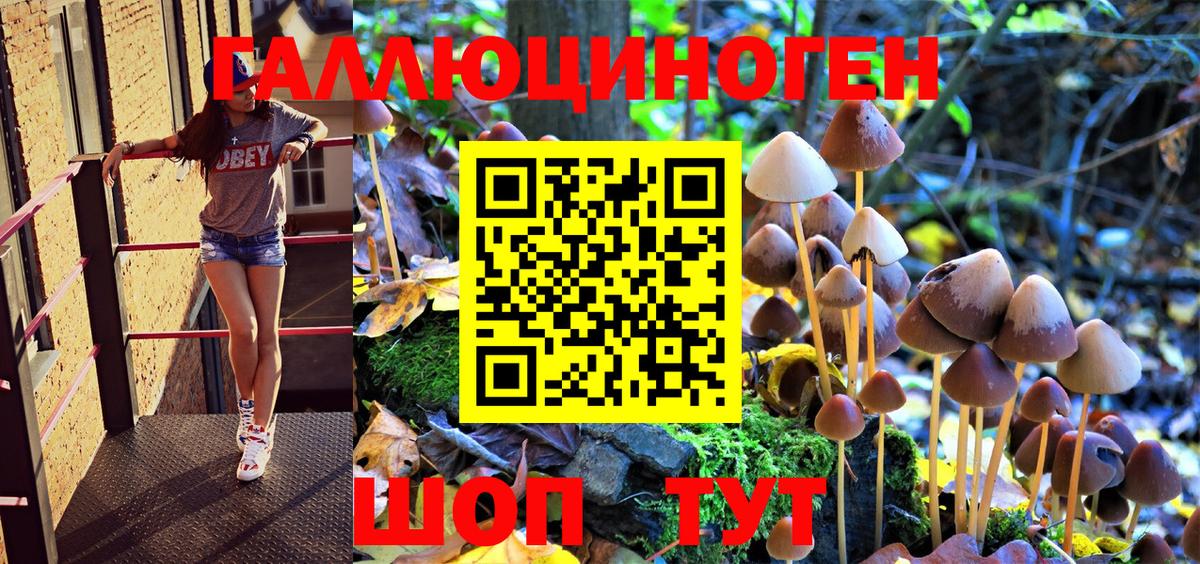 Галлюциногенные грибы Psilocybe Троицк