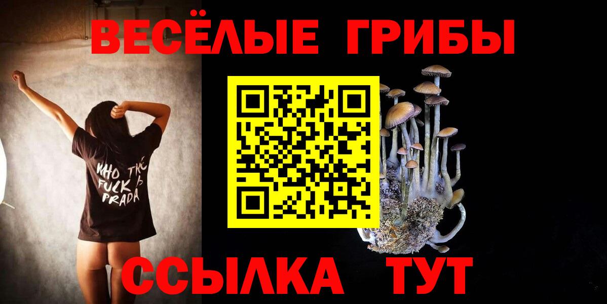 Троицк  где продают   Вход с VPN  Псилоцибиновые грибы прущие грибы 